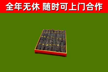 赤城回收海参